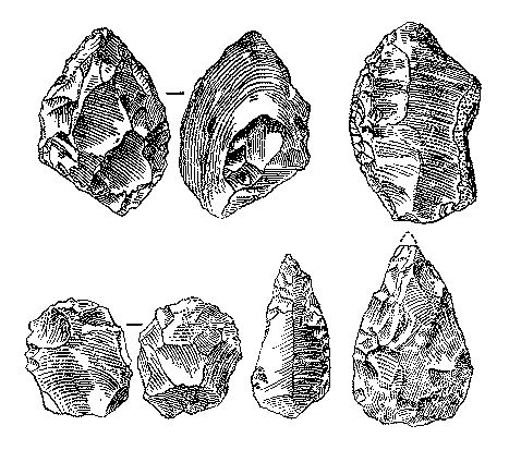 Леонид Серебрянный - Древнее оледенение и жизнь