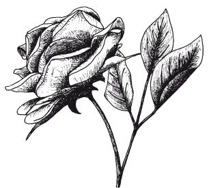 Елена Каминская - Поделки из бумаги, игрушки, сувениры и подарки