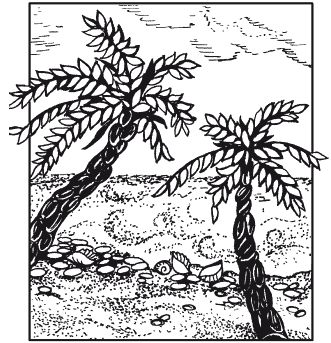 Елена Каминская - Мозаика из крупы и семян