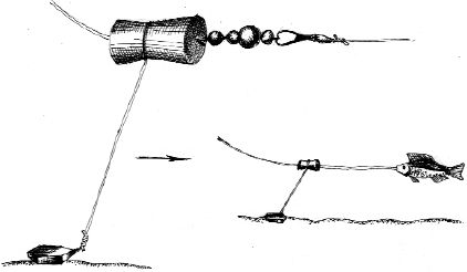 Ирина Катаева - Особенности ловли рыб семейства карповых