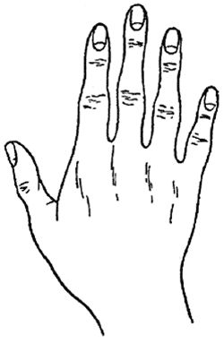 Елена Лома - Лучшие гадания от А до Я