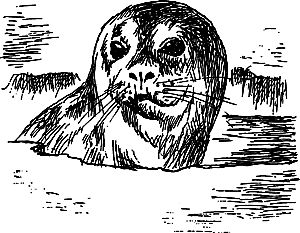 Владимир Головин, Виктор Мироглов и др. - Бронзовый топор