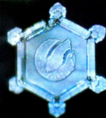 Александр Белый, Тамара Белая - Тайная Доктрина дней Апокалипсиса. Книга 1