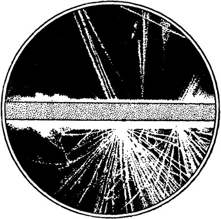 Виталий Рыдник - Охотники за частицами