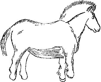 Леонид Серебрянный - Древнее оледенение и жизнь