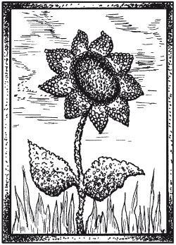 Елена Каминская - Мозаика из крупы и семян