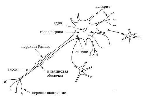 Жорж Ромэ - Свободный сон наяву. Новый терапевтический подход