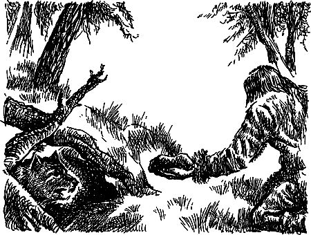 Владимир Головин, Виктор Мироглов и др. - Бронзовый топор