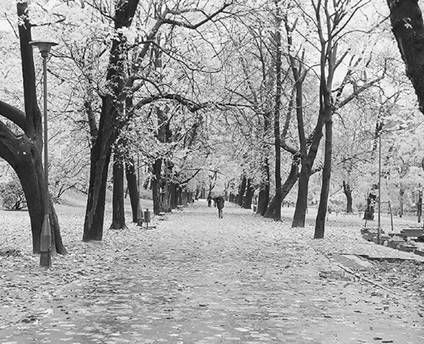 Наталья Фролова - Старый Краков