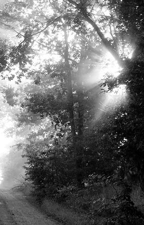 Зинаида Миркина - Нескончаемая встреча