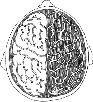 Михаил Задорнов - Сила чисел, или Задорная нумерология