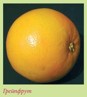 Татьяна Дорошенко - Плодоносящие растения