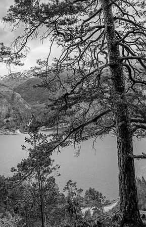 Зинаида Миркина - Нескончаемая встреча