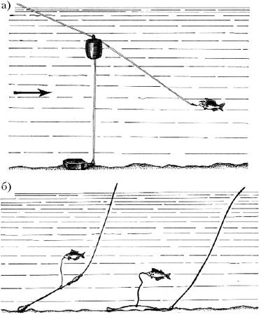 Ирина Катаева - Особенности ловли рыб семейства карповых