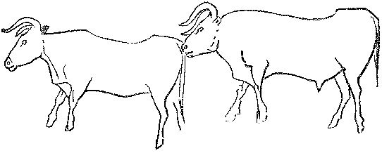 Леонид Серебрянный - Древнее оледенение и жизнь