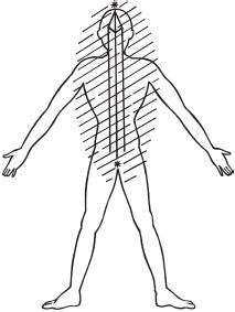 Дмитрий Верищагин - Зрелость. Система навыков Дальнейшего ЭнергоИнформационного...