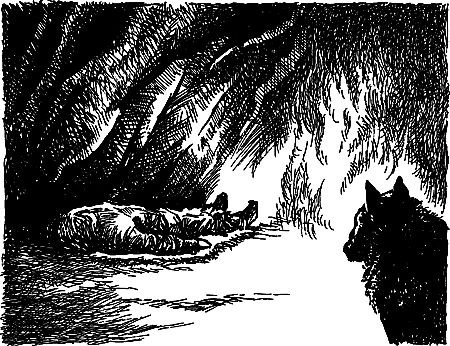 Владимир Головин, Виктор Мироглов и др. - Бронзовый топор