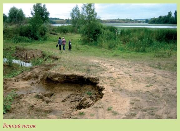 Татьяна Дорошенко - Плодоносящие растения