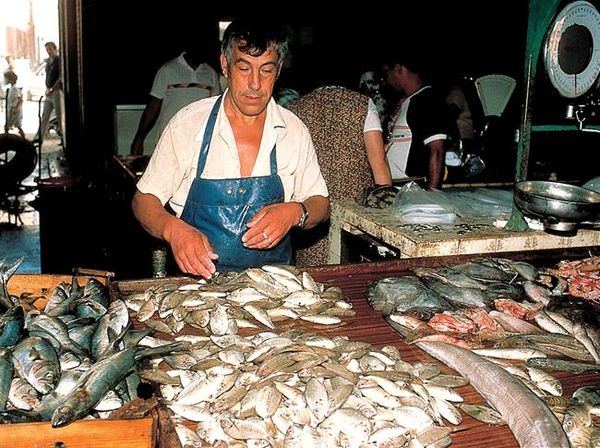 Робин Фроммер, Габриэль Кальво и др. - Лиссабон. Путеводитель