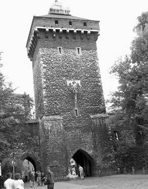 Наталья Фролова - Старый Краков