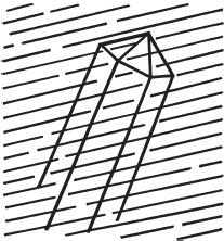 Дмитрий Верищагин - Зрелость. Система навыков Дальнейшего ЭнергоИнформационного...