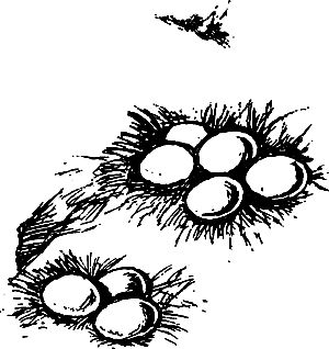 Владимир Головин, Виктор Мироглов и др. - Бронзовый топор