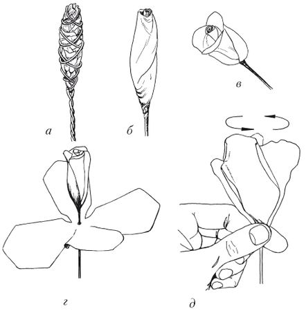 Елена Каминская - Поделки из бумаги, игрушки, сувениры и подарки