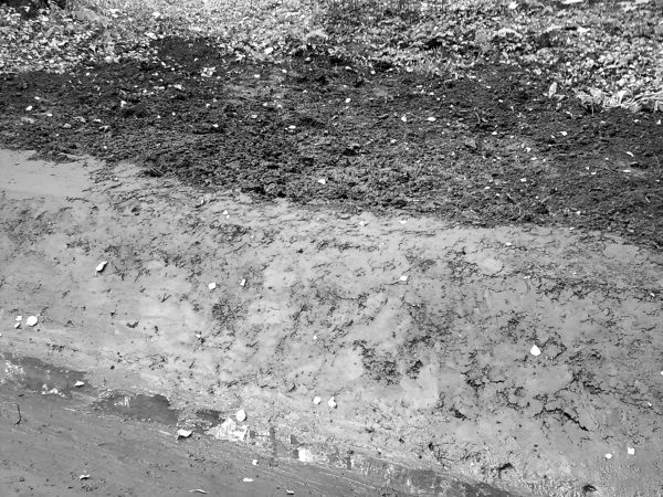 Андрей Кашкаров - Сам себе сантехник. Сантехнические дачные коммуникации