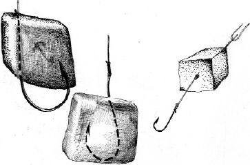 Ирина Катаева - Особенности ловли рыб семейства карповых