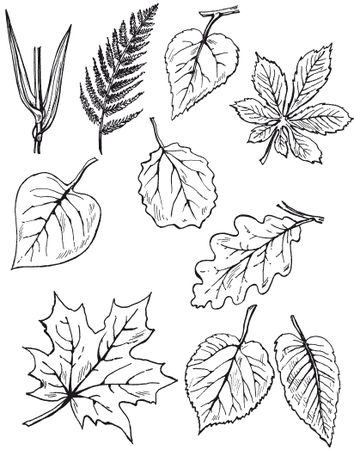 Елена Каминская - Мозаика из крупы и семян