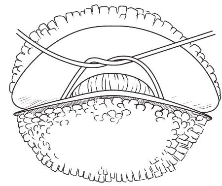 Ольга Захаренко - Обувь для дома своими руками