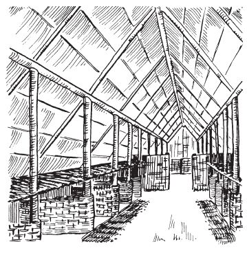 Малькольм Тодд - Варвары. Древние германцы. Быт, религия, культура