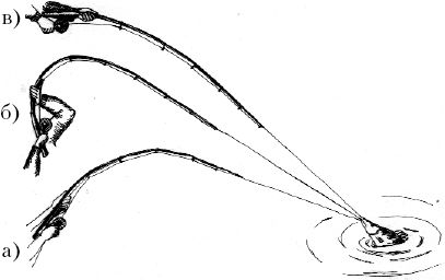 Ирина Катаева - Особенности ловли рыб семейства карповых