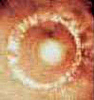 Александр Белый, Тамара Белая - Тайная Доктрина дней Апокалипсиса. Книга 1