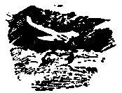 Энергия подвластна нам (журнальный вариант)