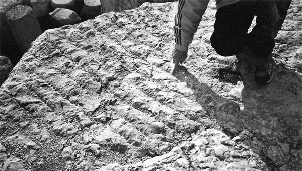 Эрнст Мулдашев - В поисках Города Богов