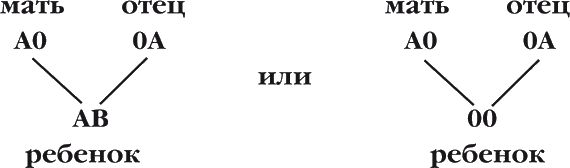 Кит Харрисон - Странности нашей эволюции