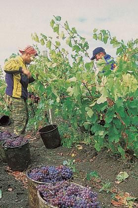 Даниэла Шетар - Болгария. Путеводитель