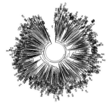 Анатолий Клёсов - Кому мешает ДНК-генеалогия?