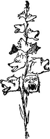 Эдвард Лир - Чистый nonsense (сборник)