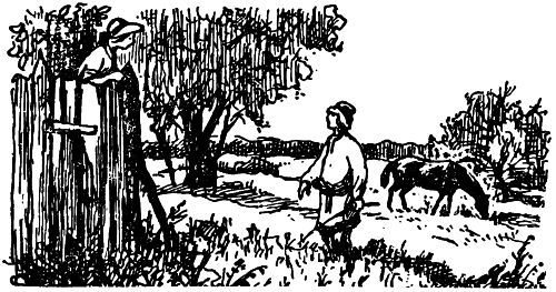 Владислав Реймонт - Рассказы