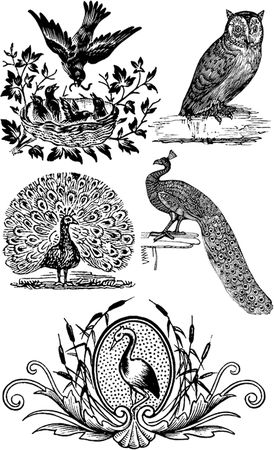 Юрий Подольский - Выжигание по дереву. Техники, приемы, изделия