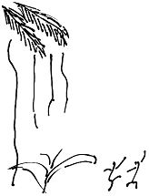 Александр Покровский - Тропик лейтенанта. Пиратское рондо