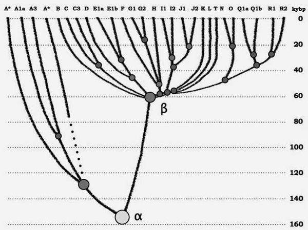 Анатолий Клёсов - Кому мешает ДНК-генеалогия?