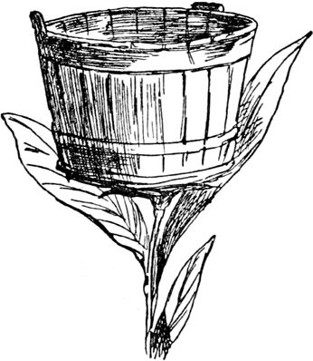 Эдвард Лир - Чистый nonsense (сборник)