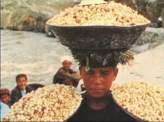 Карло Маури - Когда риск - это жизнь!