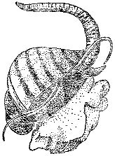 Марк Махлин, Людмила Солоницына - Аквариум в школе