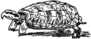 Чистый nonsense (сборник)