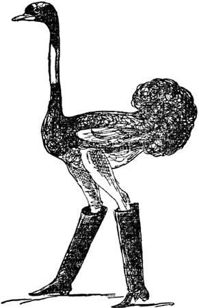 Эдвард Лир - Чистый nonsense (сборник)