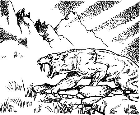 Джек Лондон, Герберт Уэллс и др. - Сила сильных